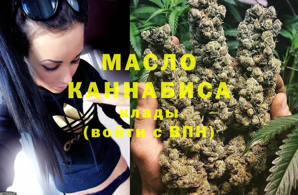 ECSTASY Алзамай