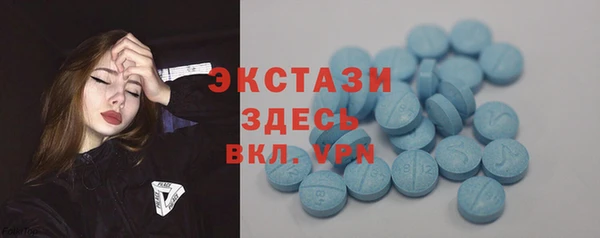 ECSTASY Алзамай