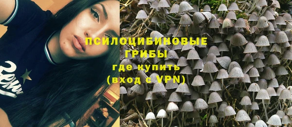 Альфа ПВП Ростов