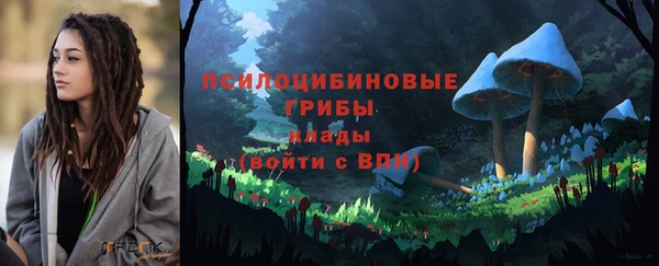 ECSTASY Алзамай
