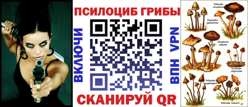купить сайты Навашино Псилоцибиновые грибы Cubensis